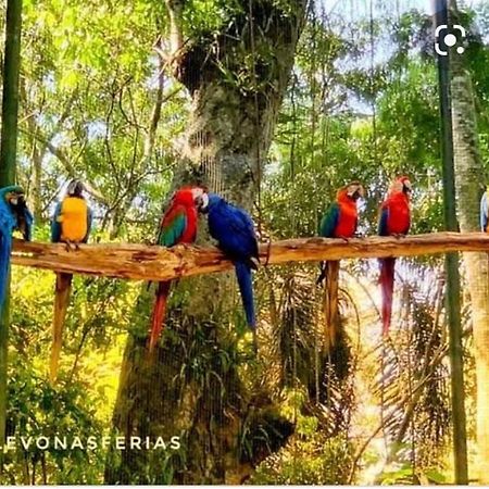 Apartamentos Nadai 301 Foz do Iguaçu Buitenkant foto